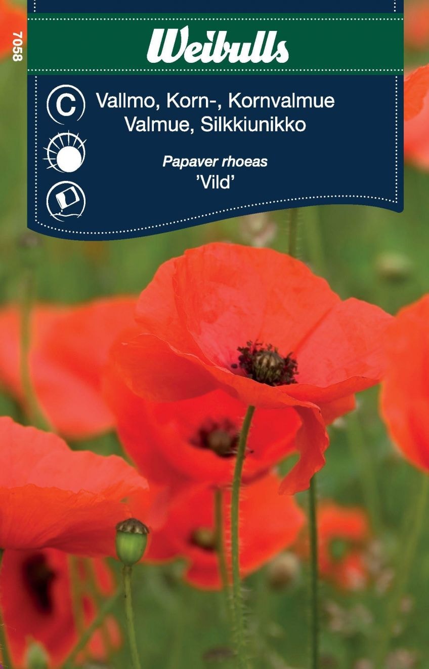 Weibulls Vallmo, Korn röd vild