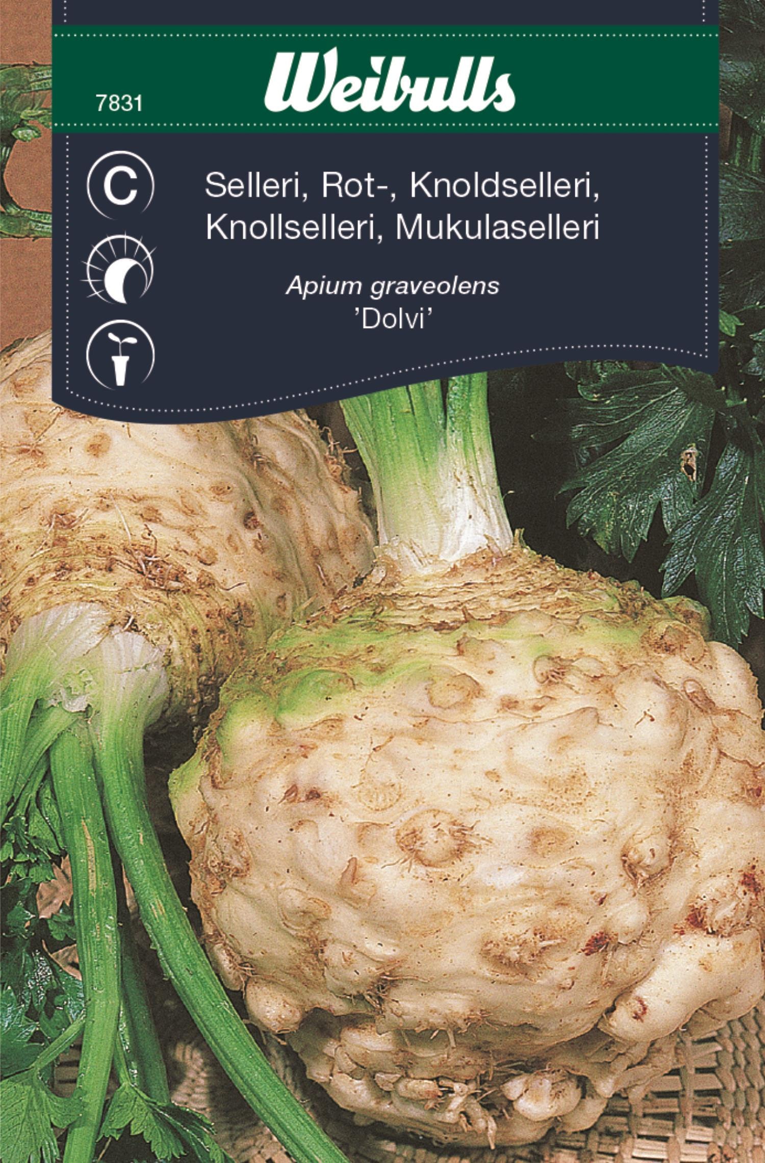 Weibulls Selleri, rot-