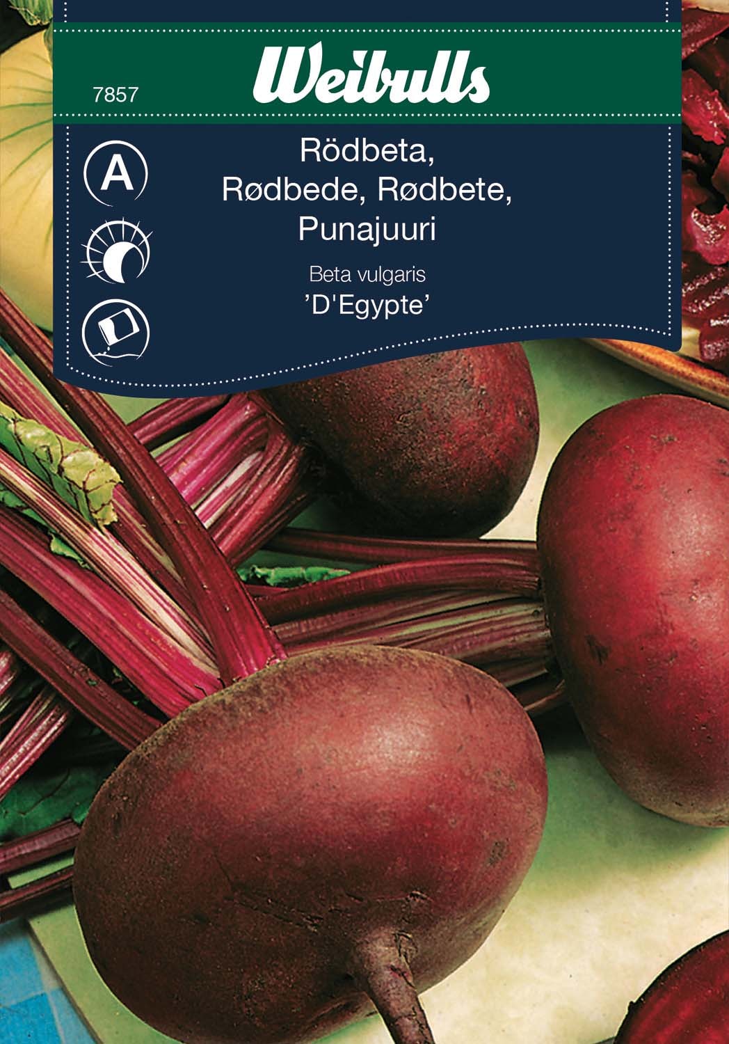 Weibulls rødbeter D'Egypte