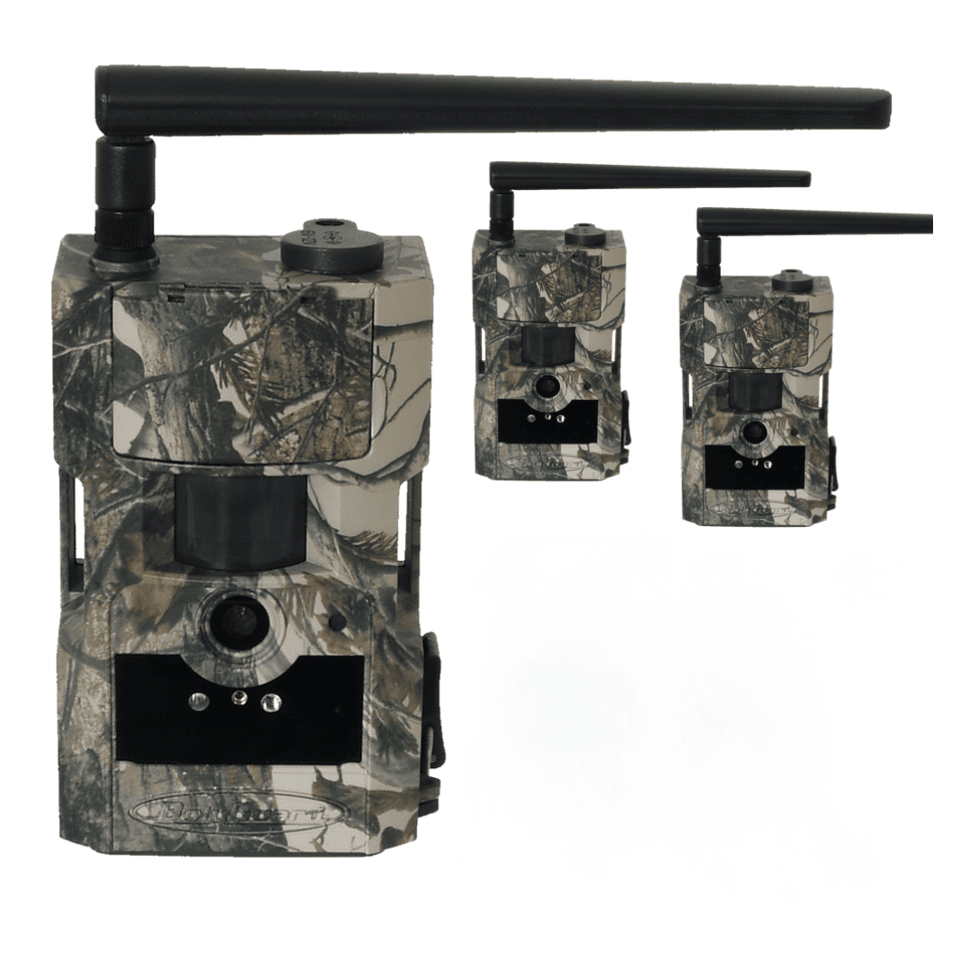3-pack Bolyguard BG584-T2 V2 Åtelkamera 4G - inkl 3x3 månader Molnus-SIM