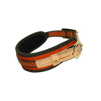 Hundhalsband Niggeloh Spårhalsband