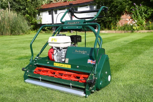 BUCK30H-lawn_b446d645-9d63-4e4a-ae71-b73c7a5cb922.