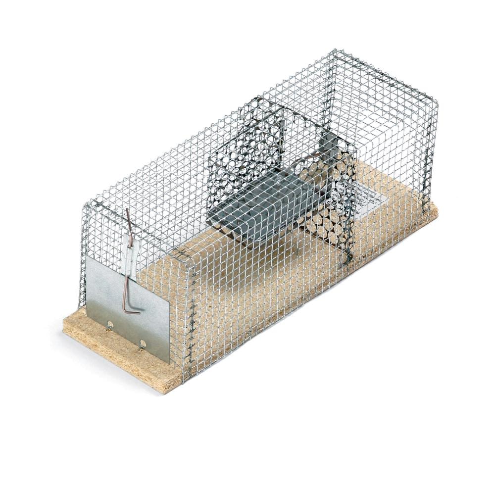 Råttbur Stor Nyby 52x20x20cm