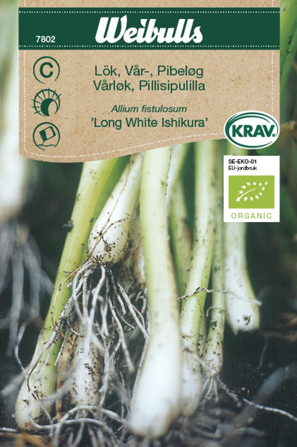 Weibulls Lök, Piplök/Vårlök KRAV