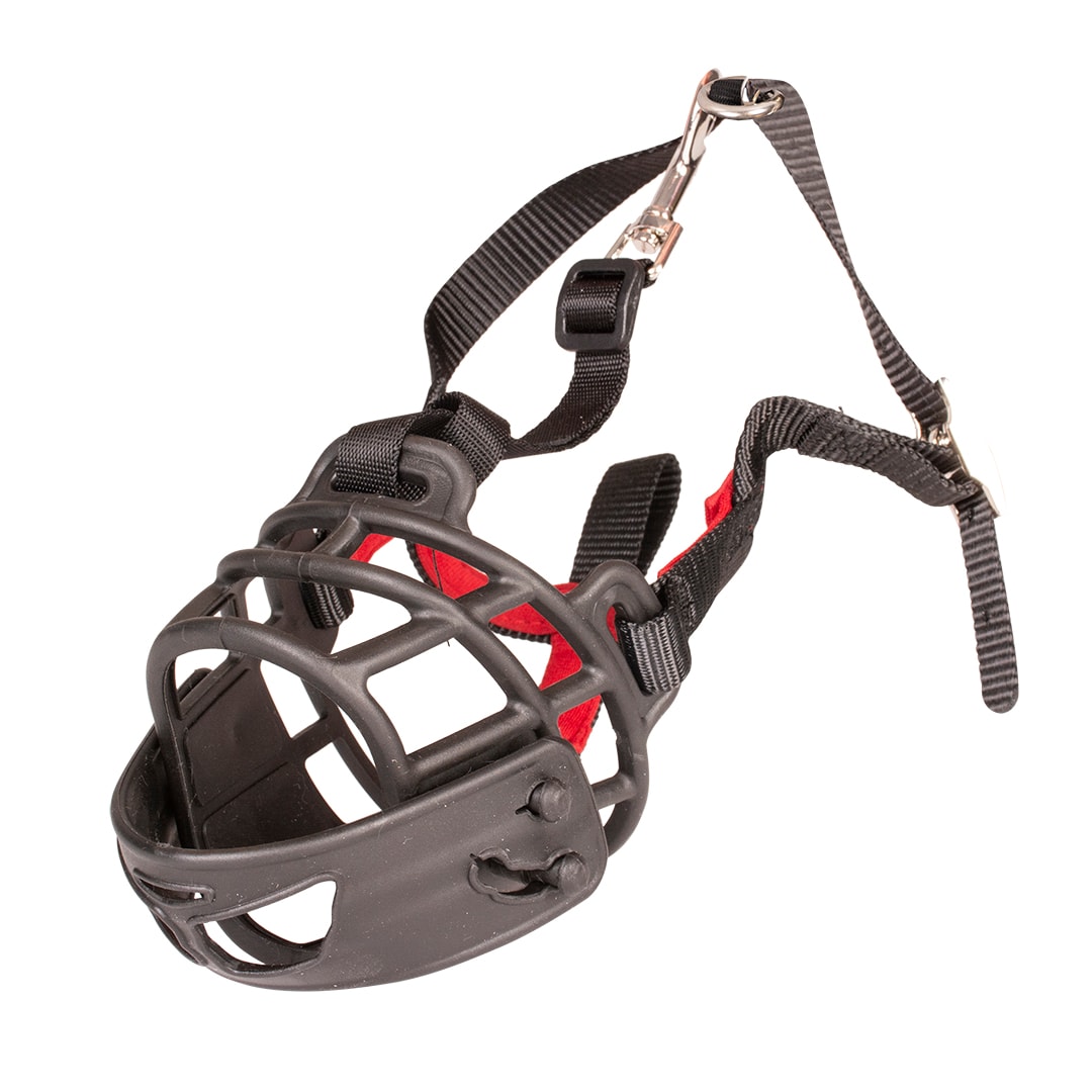 Duvo Kuonokoppa M kumi