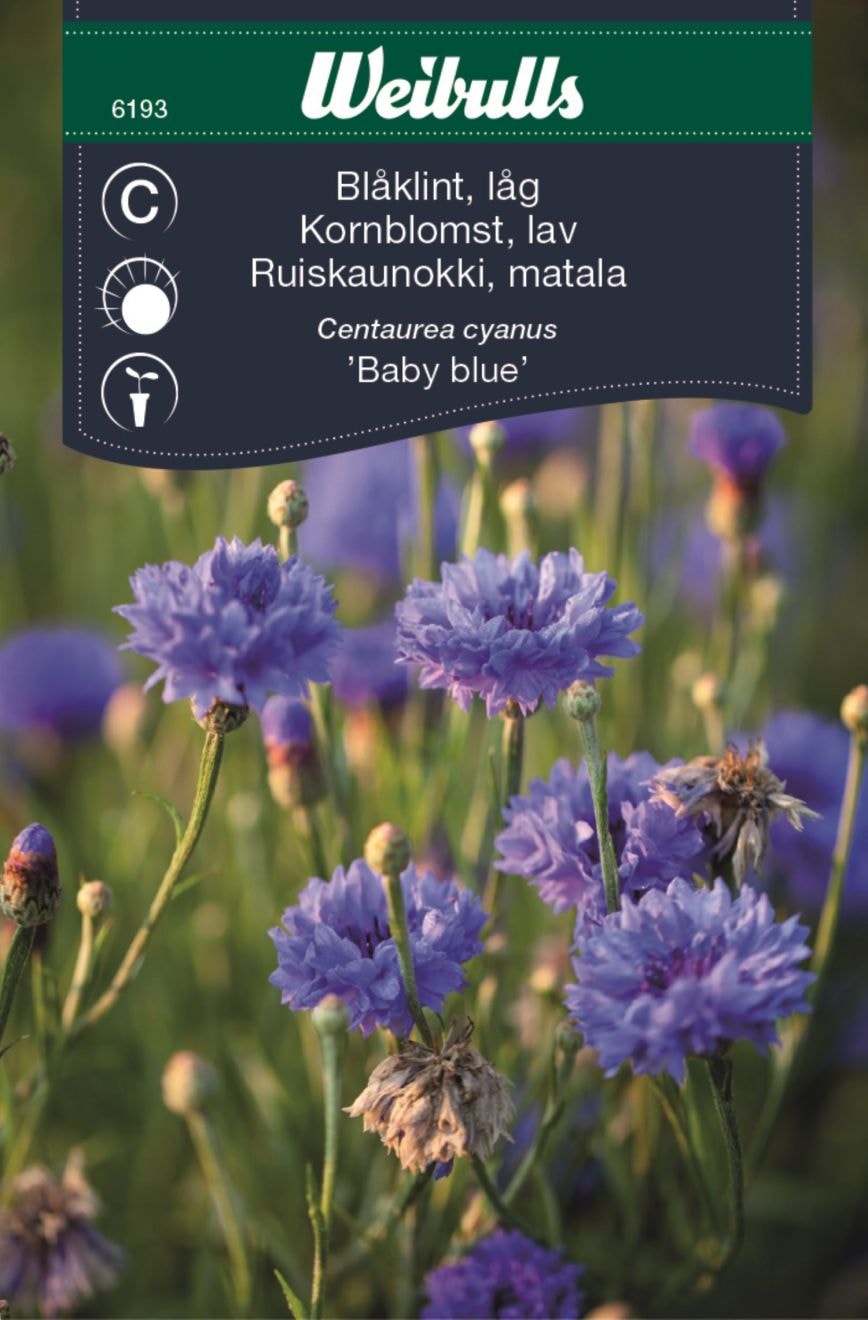 Weibulls Blåklint låg baby blue