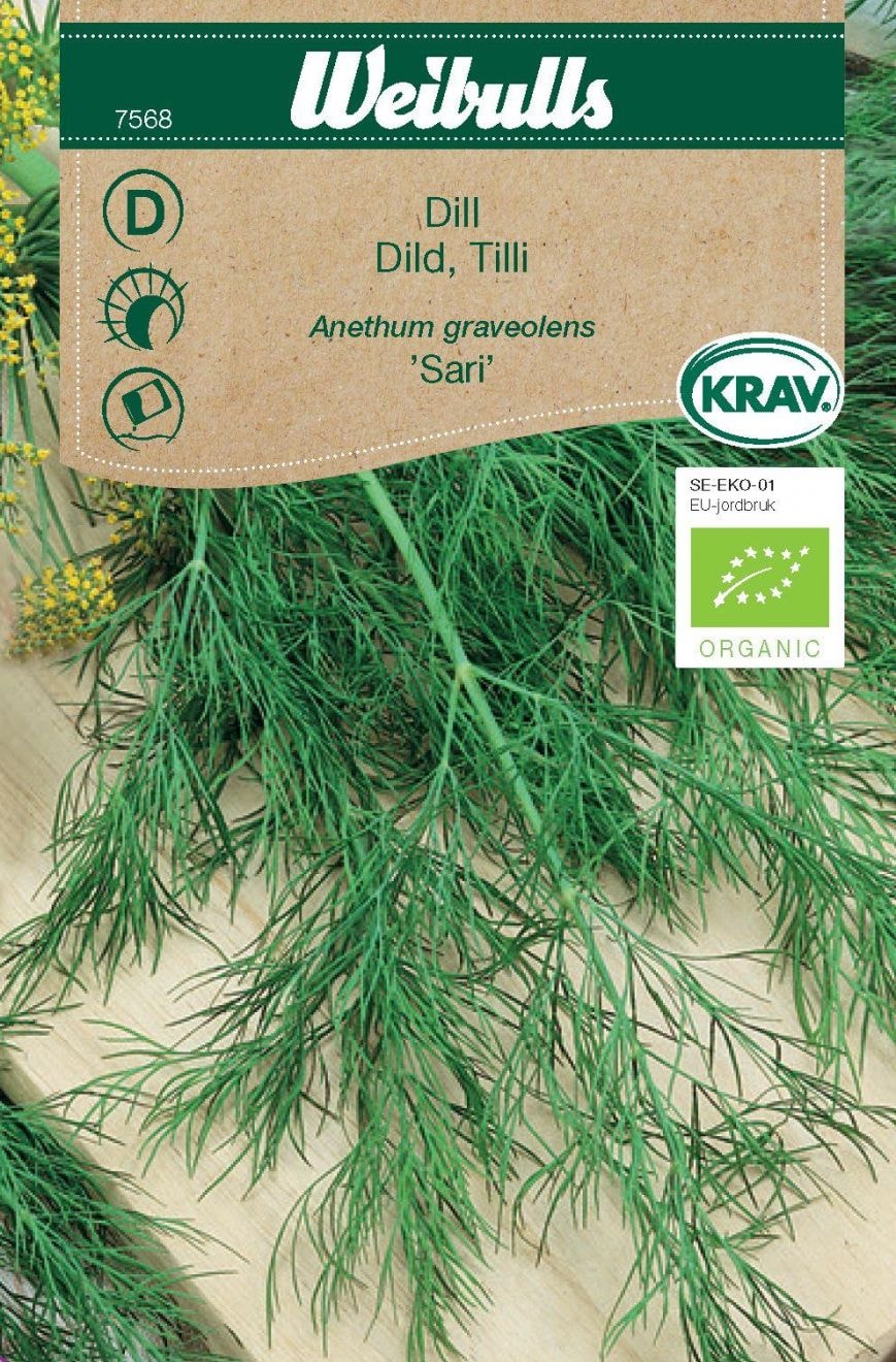 Weibulls Tilli siemenet "Sari"