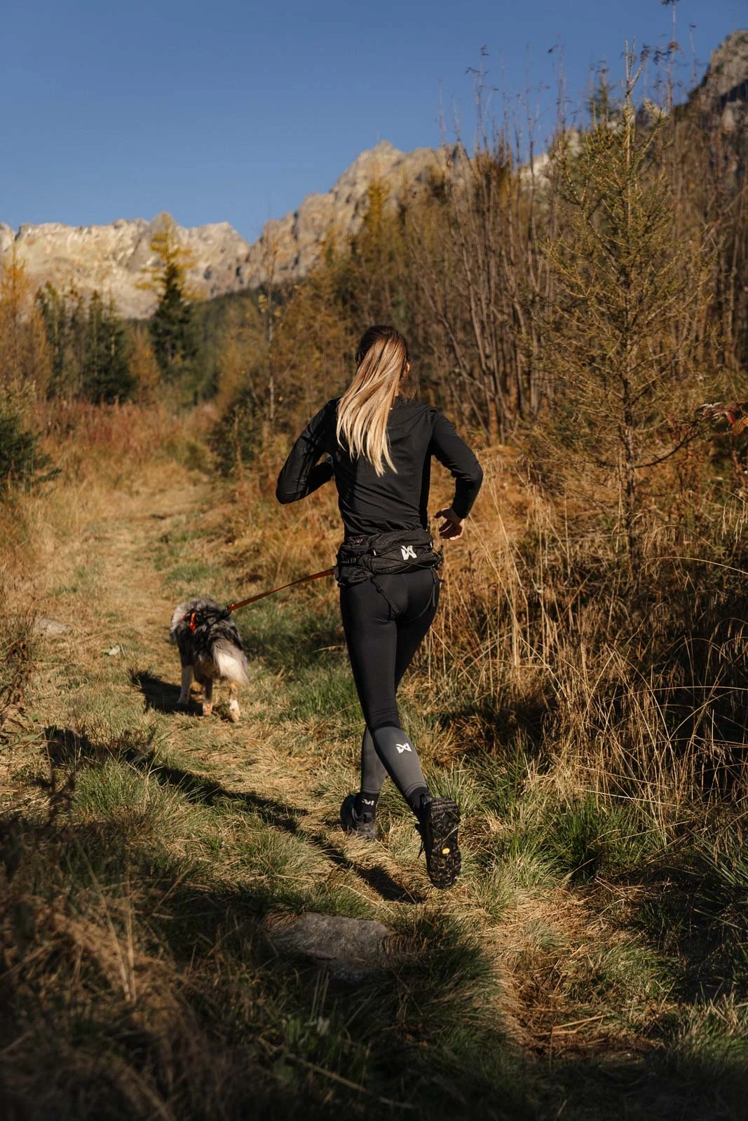 trail_light_belt_setting_1[1].webp