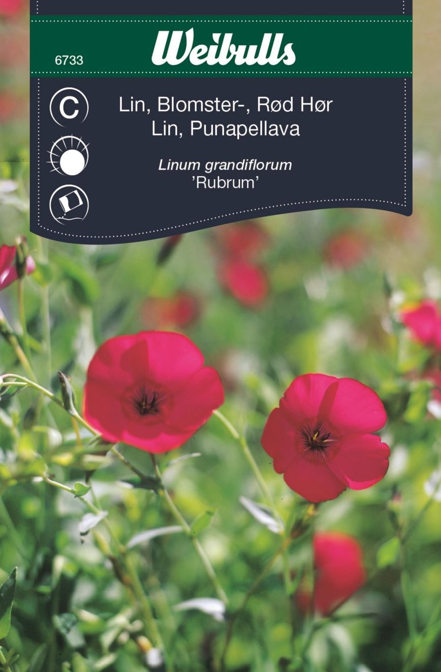 Weibulls Lin röd blomster