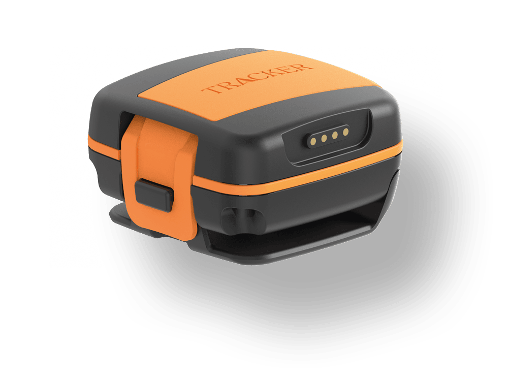 Tracker Bark Hund-GPS