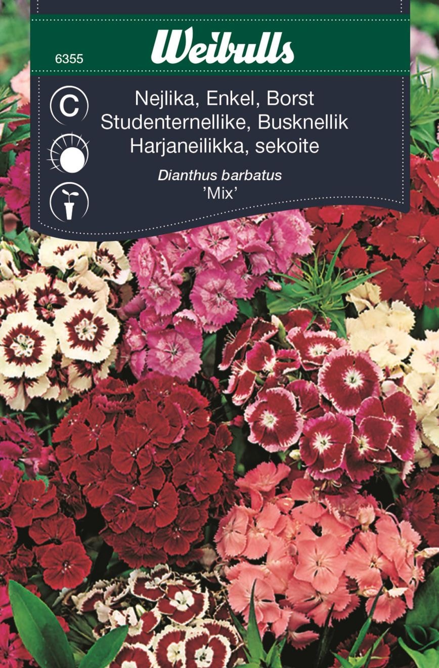 Weibulls Nejlika enkel borst mix