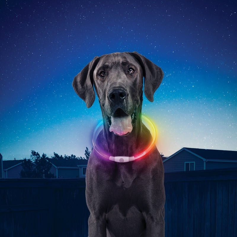 NiteHowl® hundkrage med belysning, uppladdningsbart, RGB LED