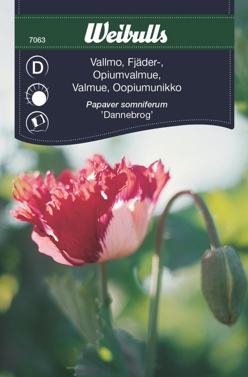 Weibulls Vallmo, fjädervallmo