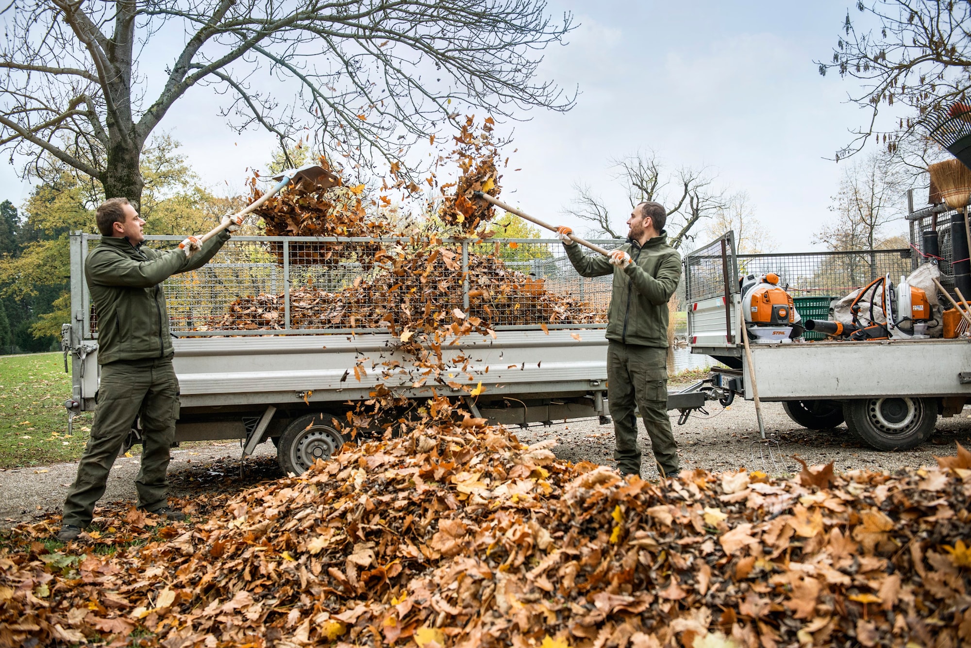 BR800CE_ACTION_XI (Custom).jpg