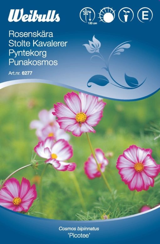 Rosenskära Rosa/vit