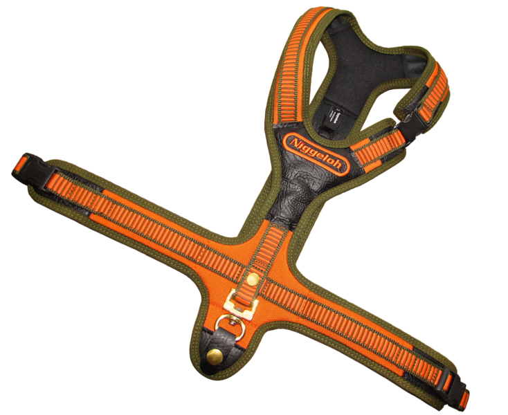 Niggeloh Koiranvaljaat Follow oranssi