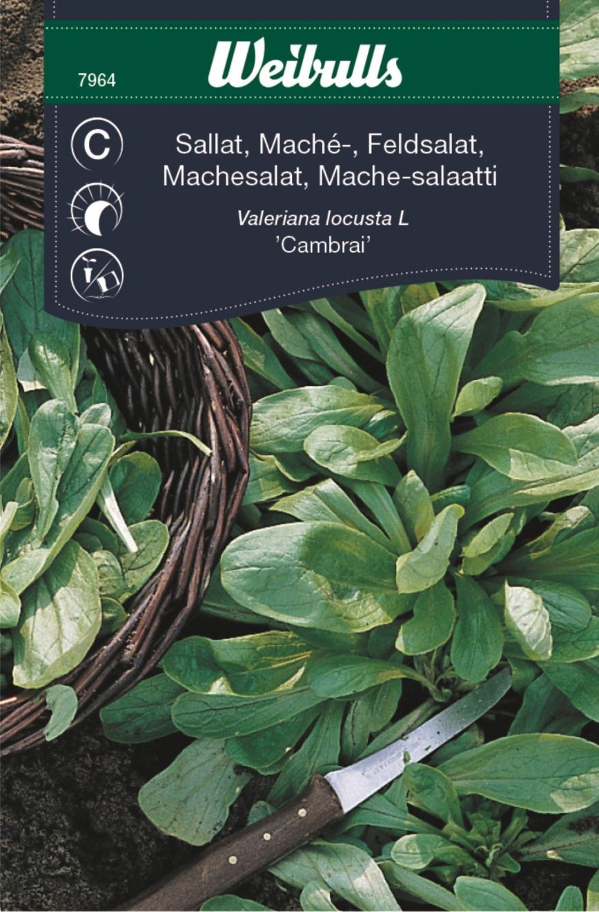 Weibulls Sallat, mache