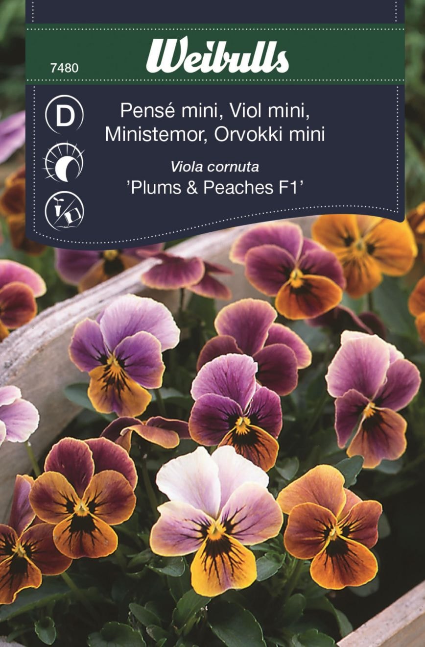 Weibulls Pensé mini