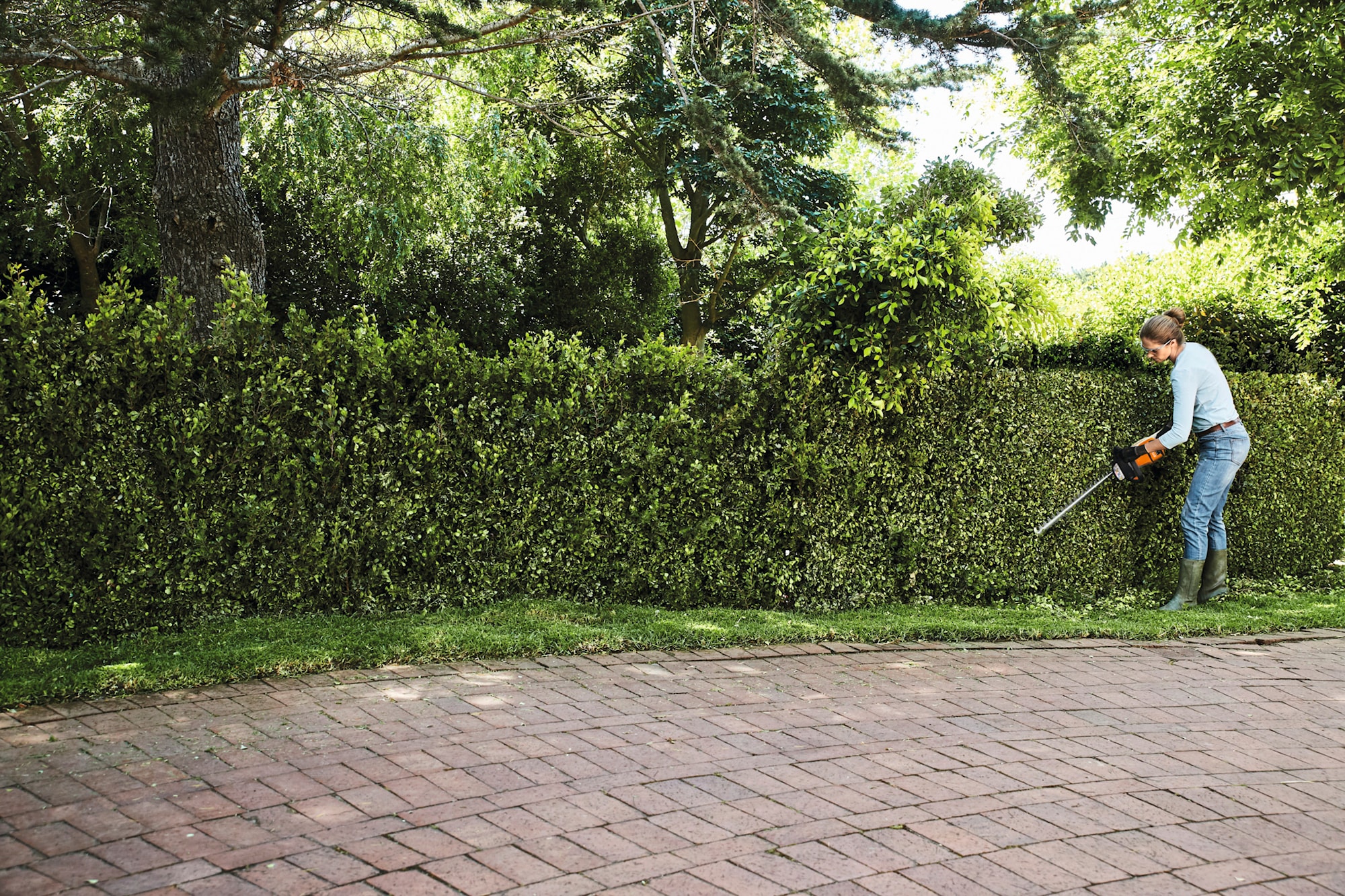 95108_HSA50-EU_HQ_P_2022-07_0002_EU - usable RoW.j