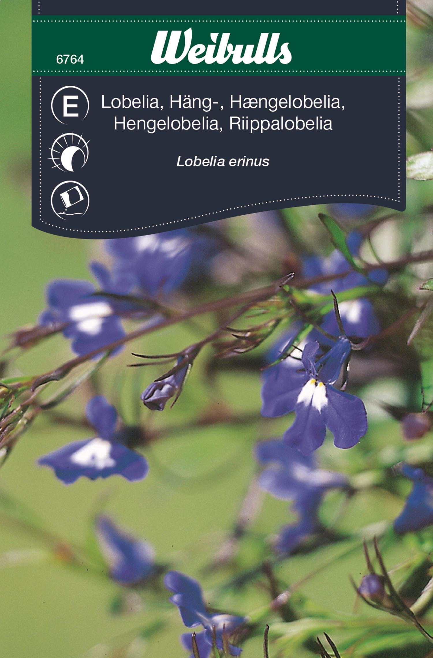 Weibulls Hänglobelia