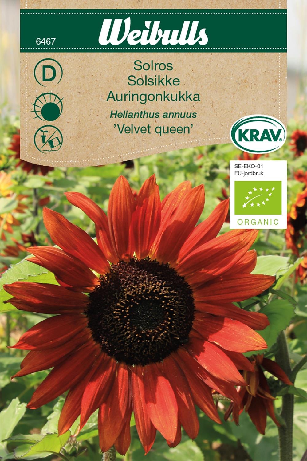 Weibulls Solros KRAV