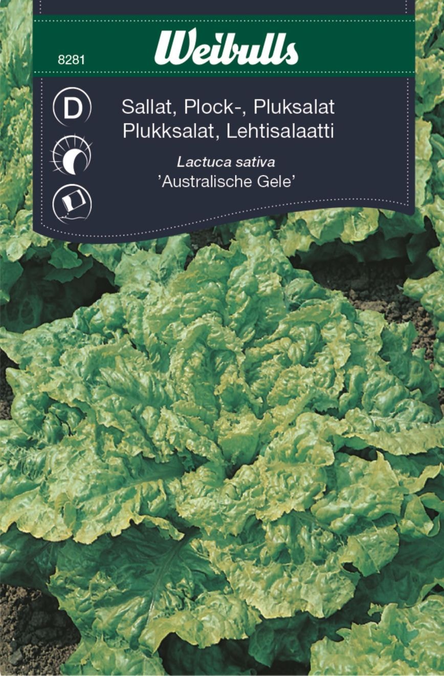 Weibulls Sallat, plock austr gele