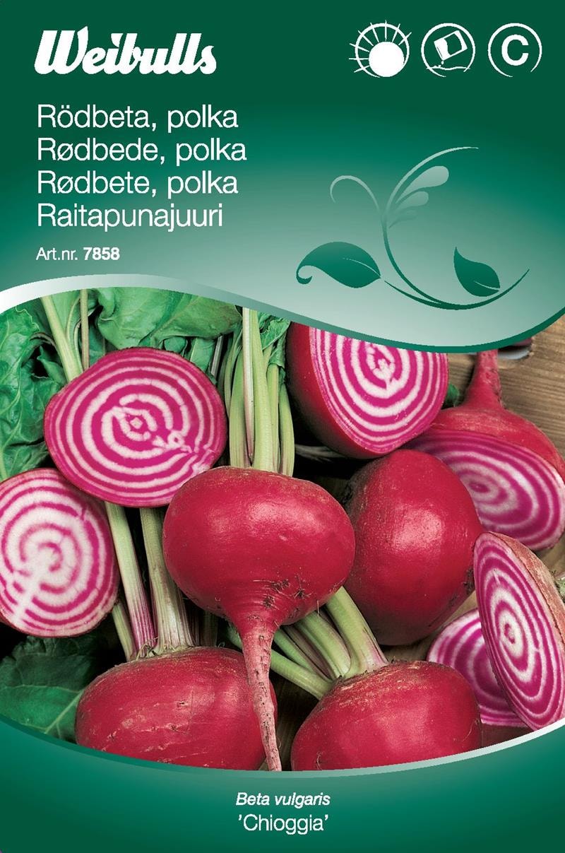 Weibulls Rödbeta Chioggia Polkabet Frö