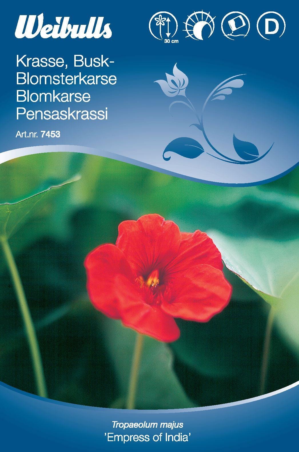 Weibulls Krassi Tumma-Lehtinen Pensaikko Siemen