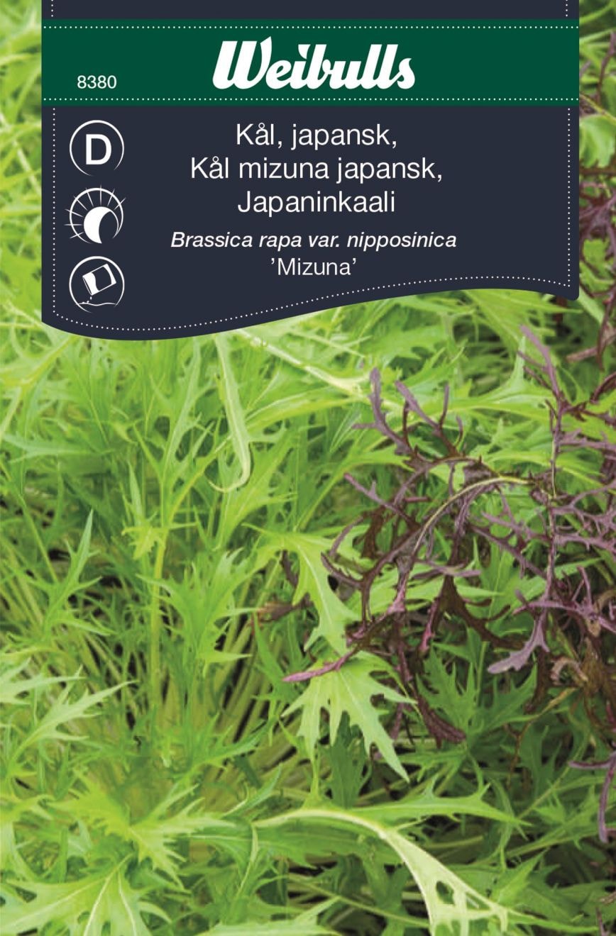 Weibulls Kaali, Mizuna, Aasialainen