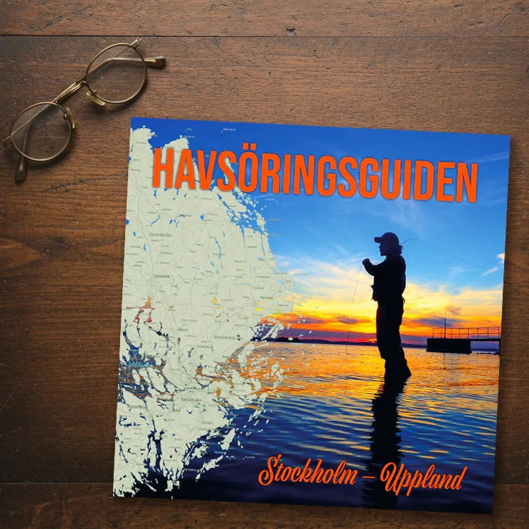 havsoringsguiden_pa_skrivbord.webp