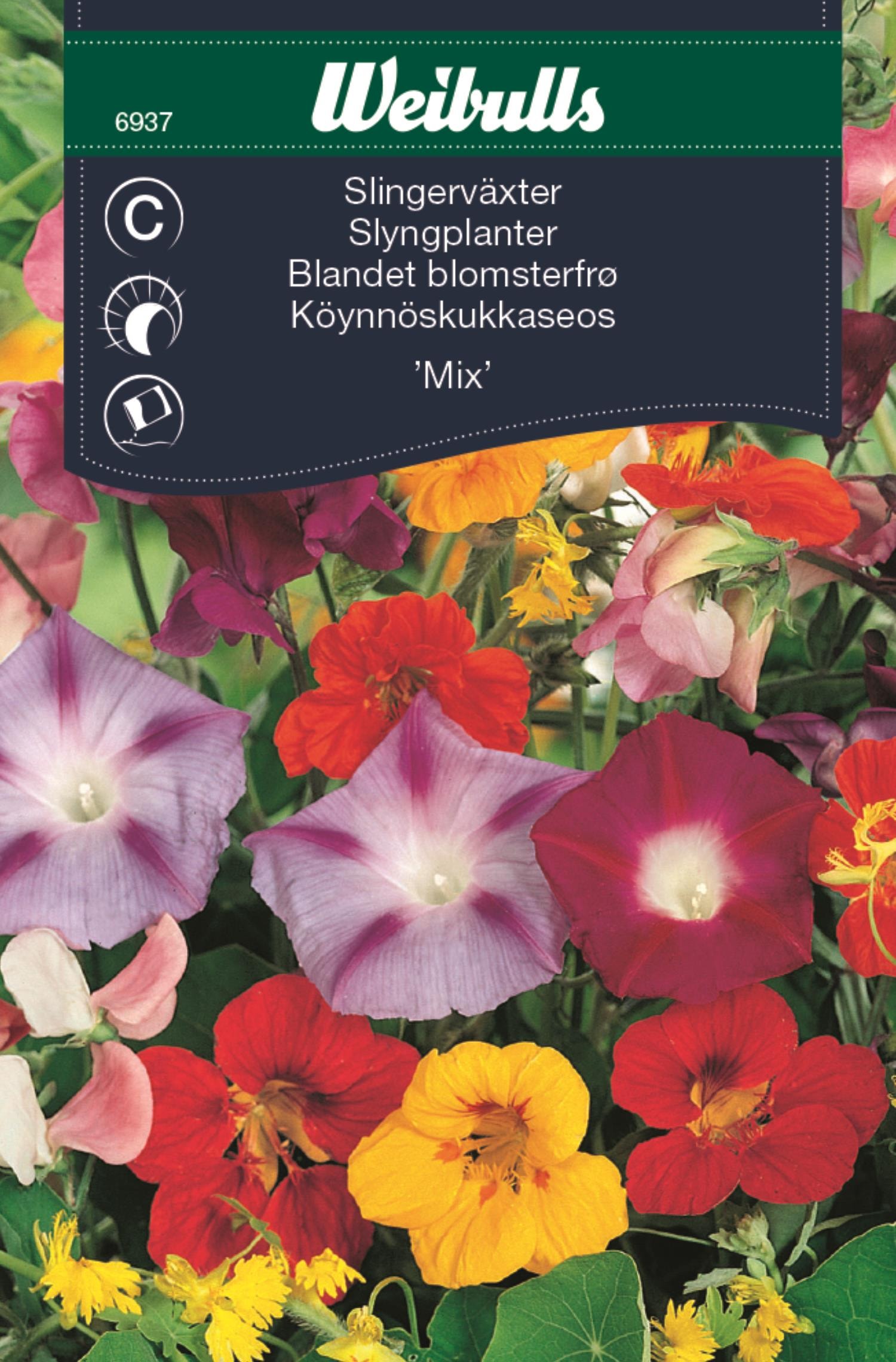 Weibulls Slingerväxter Mix