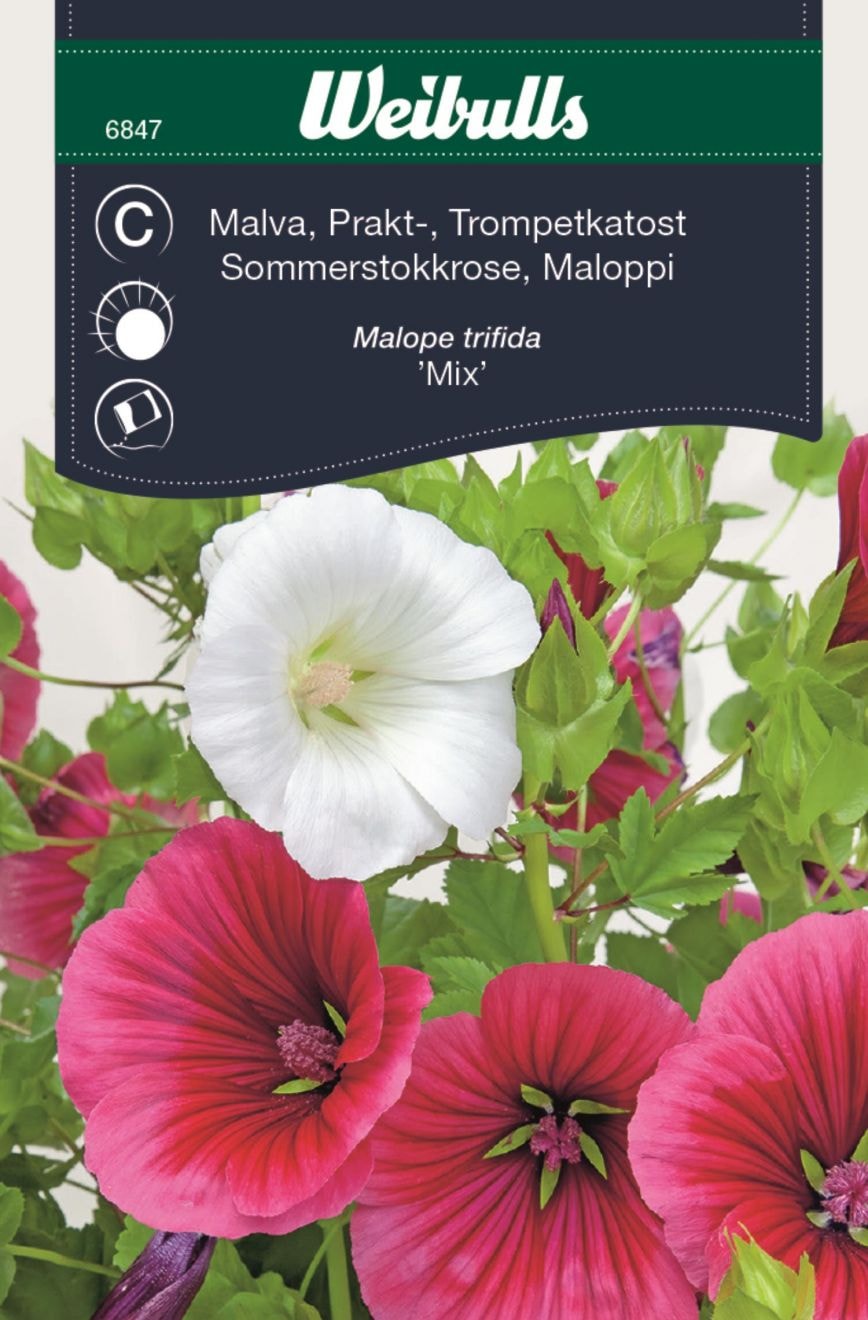 Weibulls Malva bland prakt