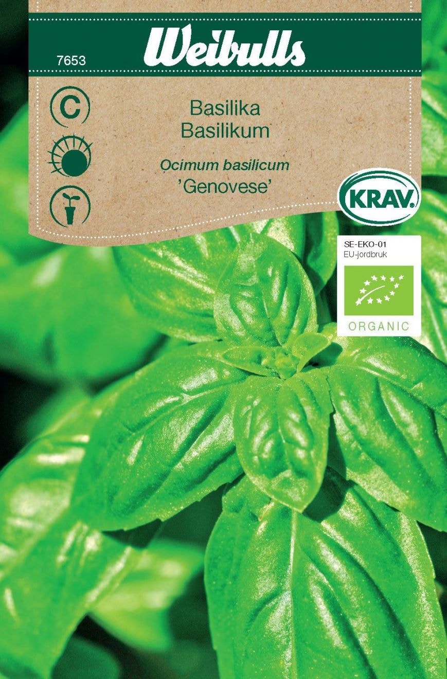 Weibulls Basilika "Genovese" siemenet *bio*