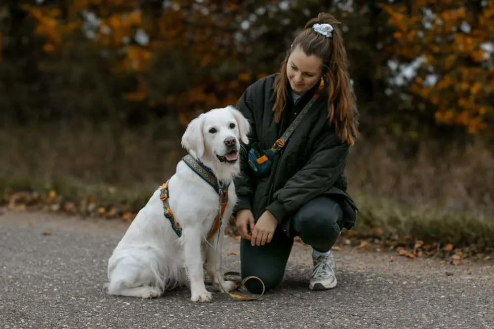 Line_harness_RP_teal-oak_miljo.png