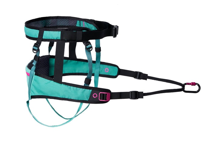 Canix belt 2.0, unisex, aqua/pink, L, single
