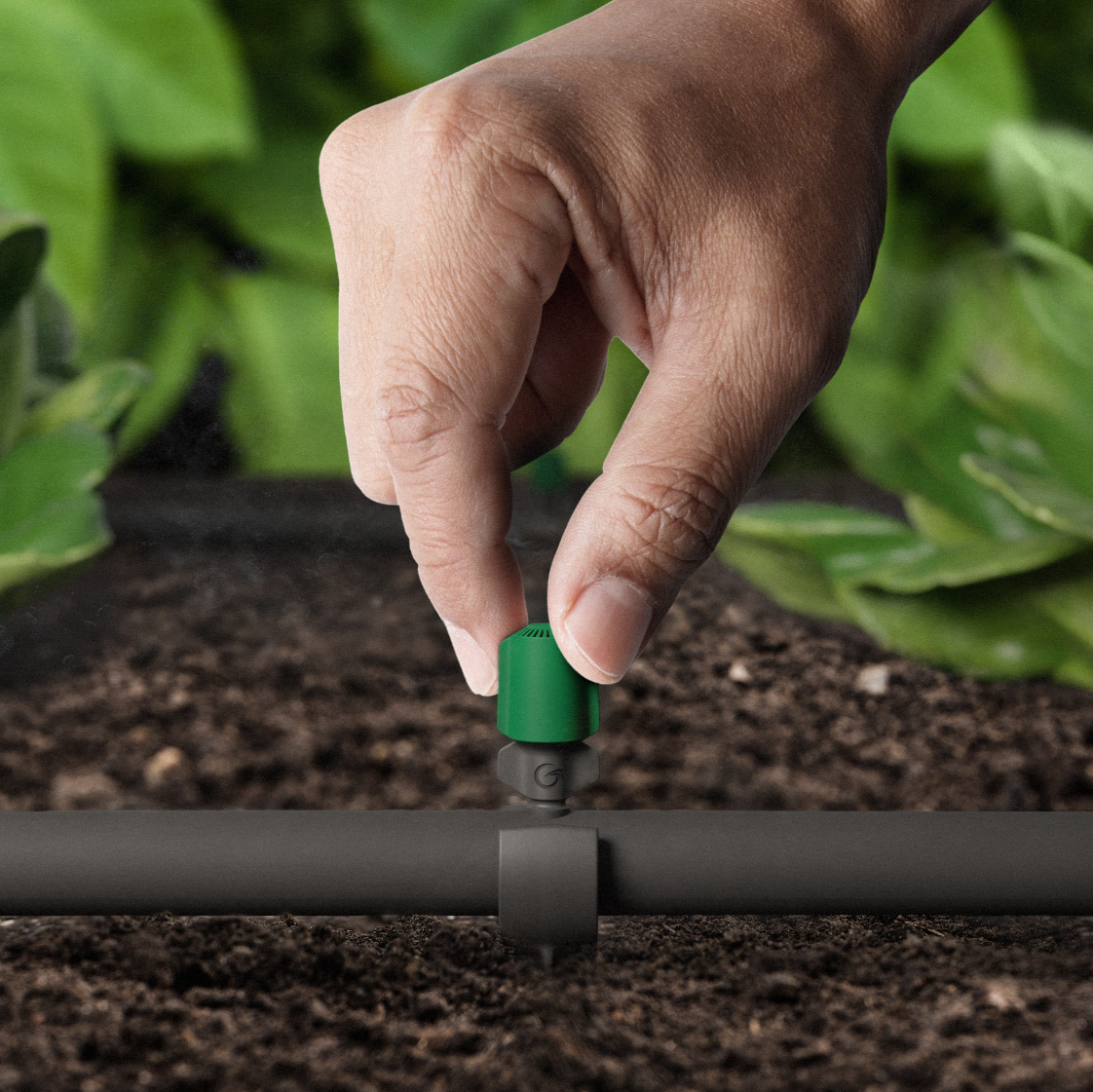 Skärmbild 2024-11-19 105636.png