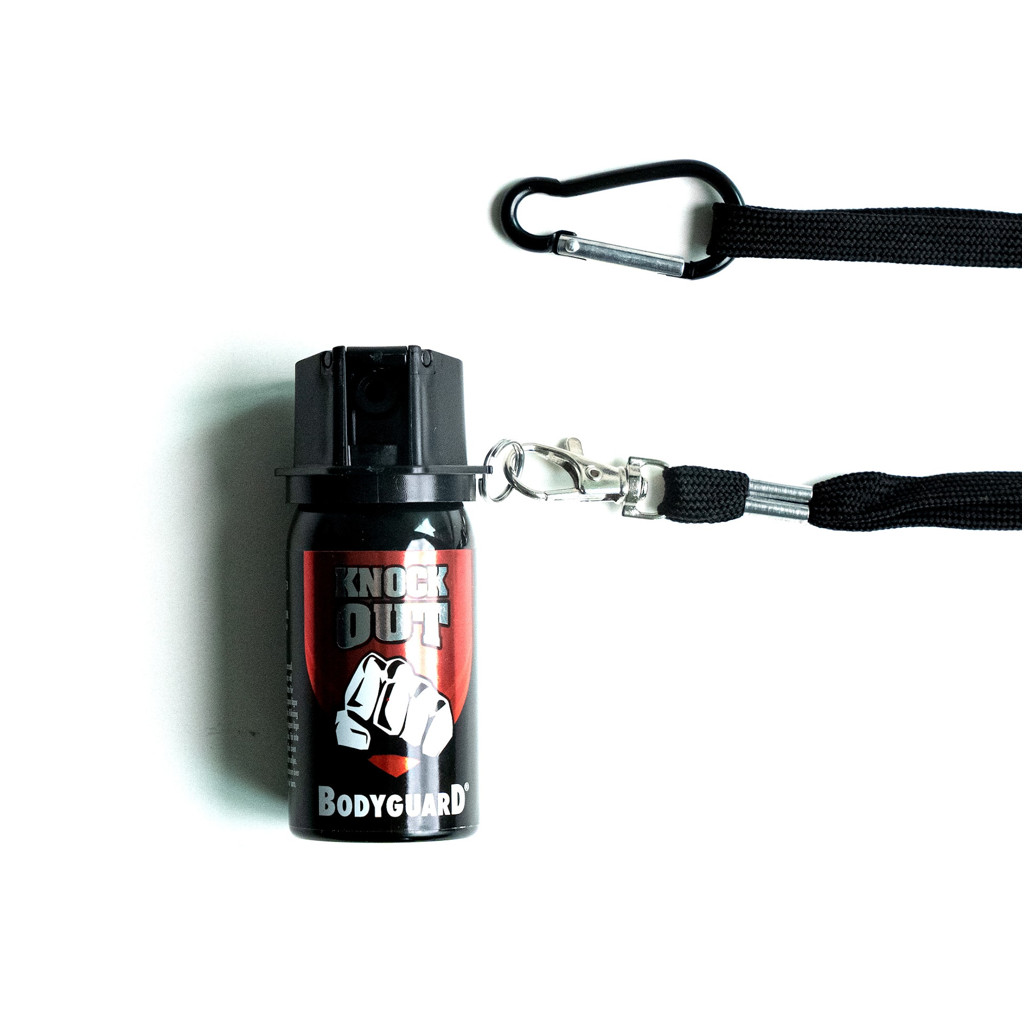 Halsrem med karbinhake och nyckelring01.jpg