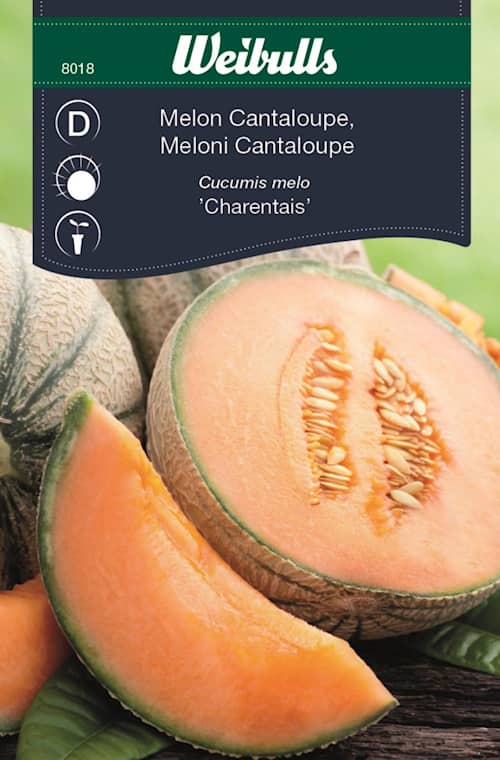 Weibulls Melon, Cantaloupe Frö