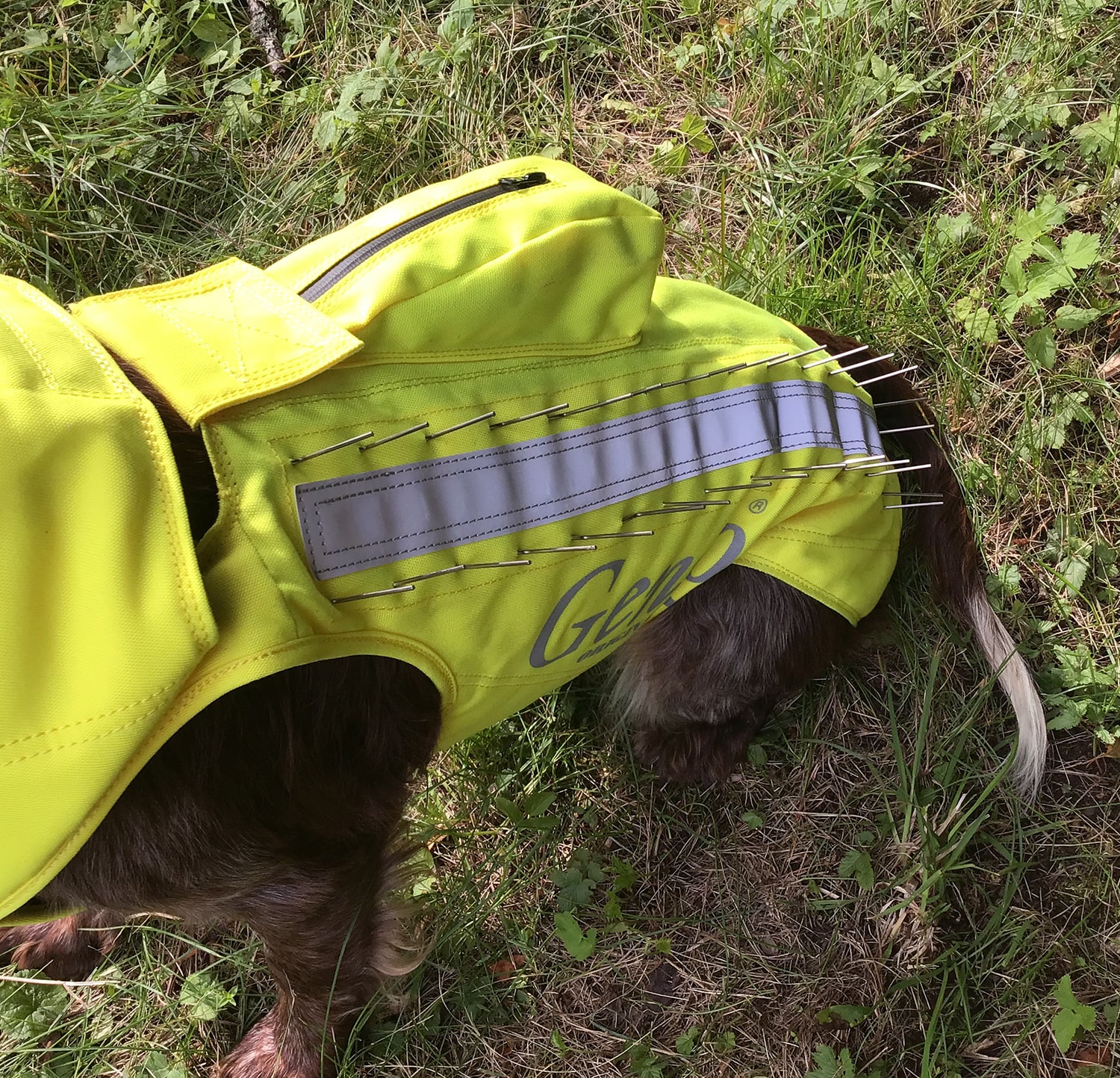 606ae00d-eb7a-46cb-8deb-4e26968c0325[1]