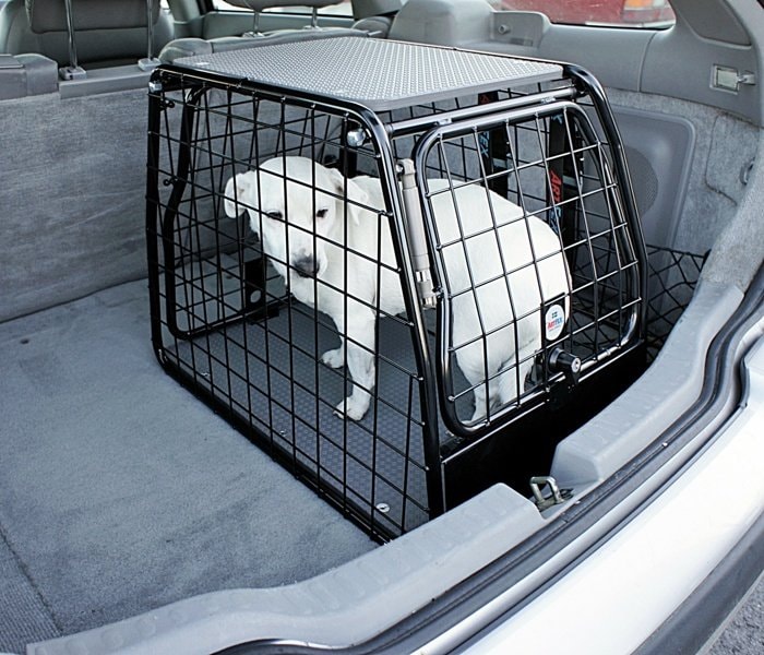 artfex-hundbur-small-lt-med-hund.jpg