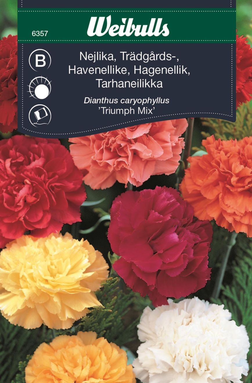 Weibulls Nejlika trädgårds mix