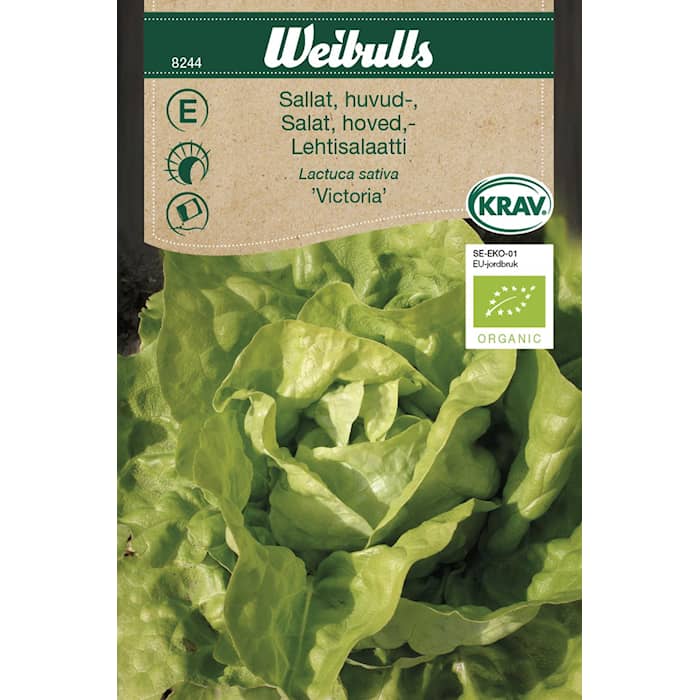 Weibulls salat, hoved, kravfrø
