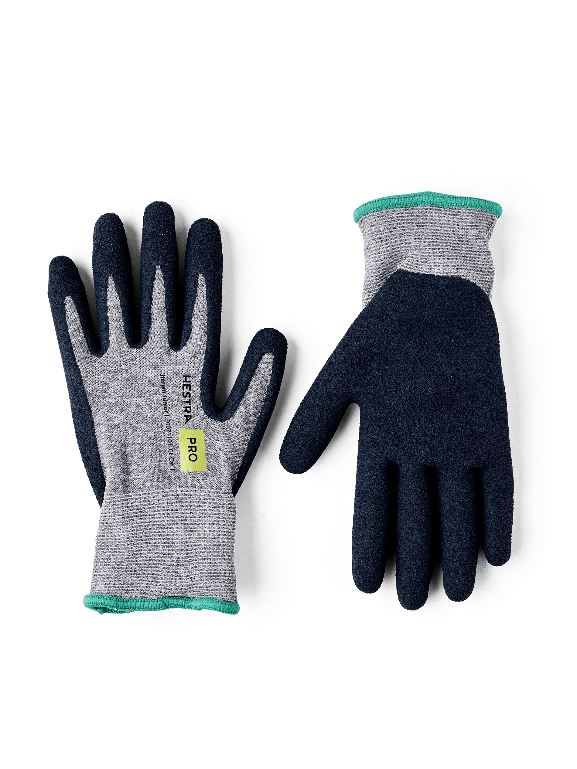 Hestra Iterum Junior 5 - 5