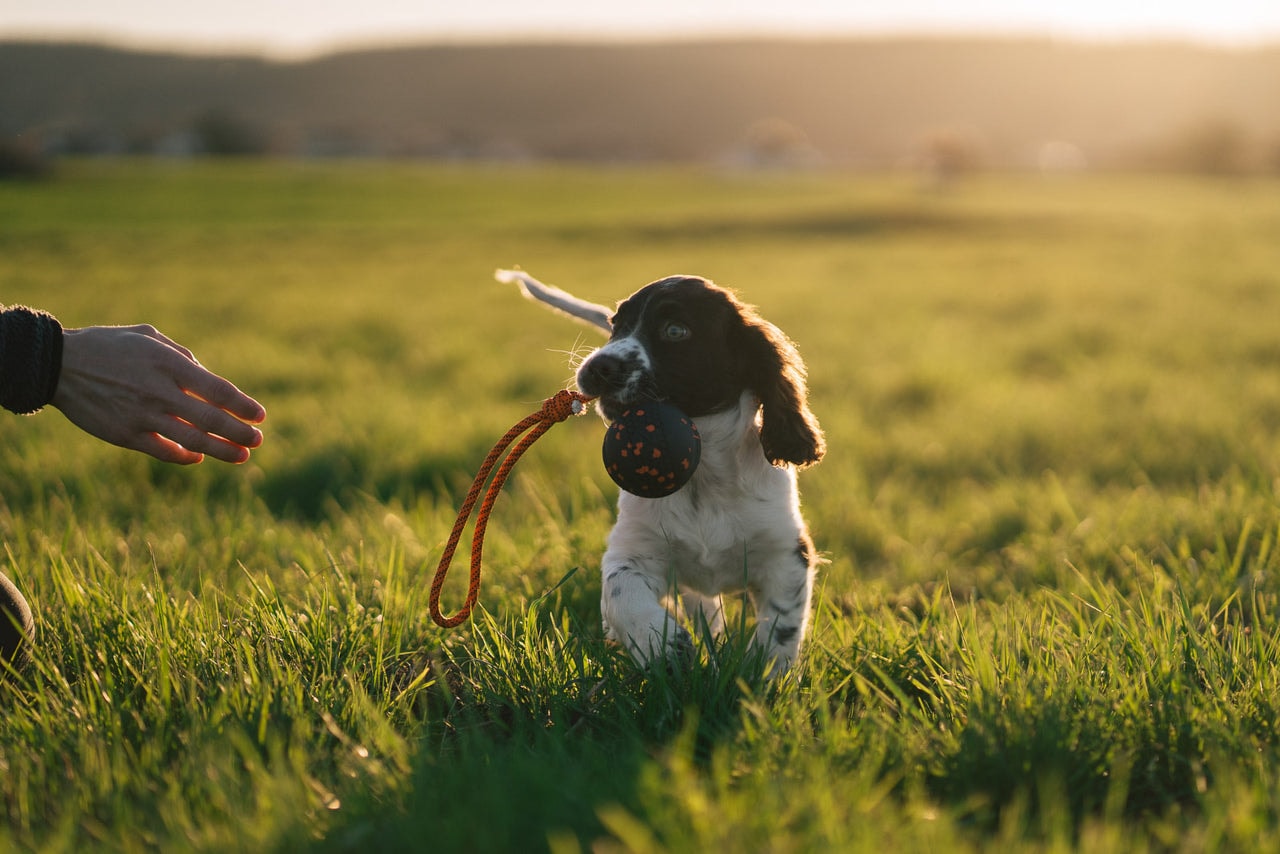 18785d00-2016-4636-a004-39f47983d63d[1]