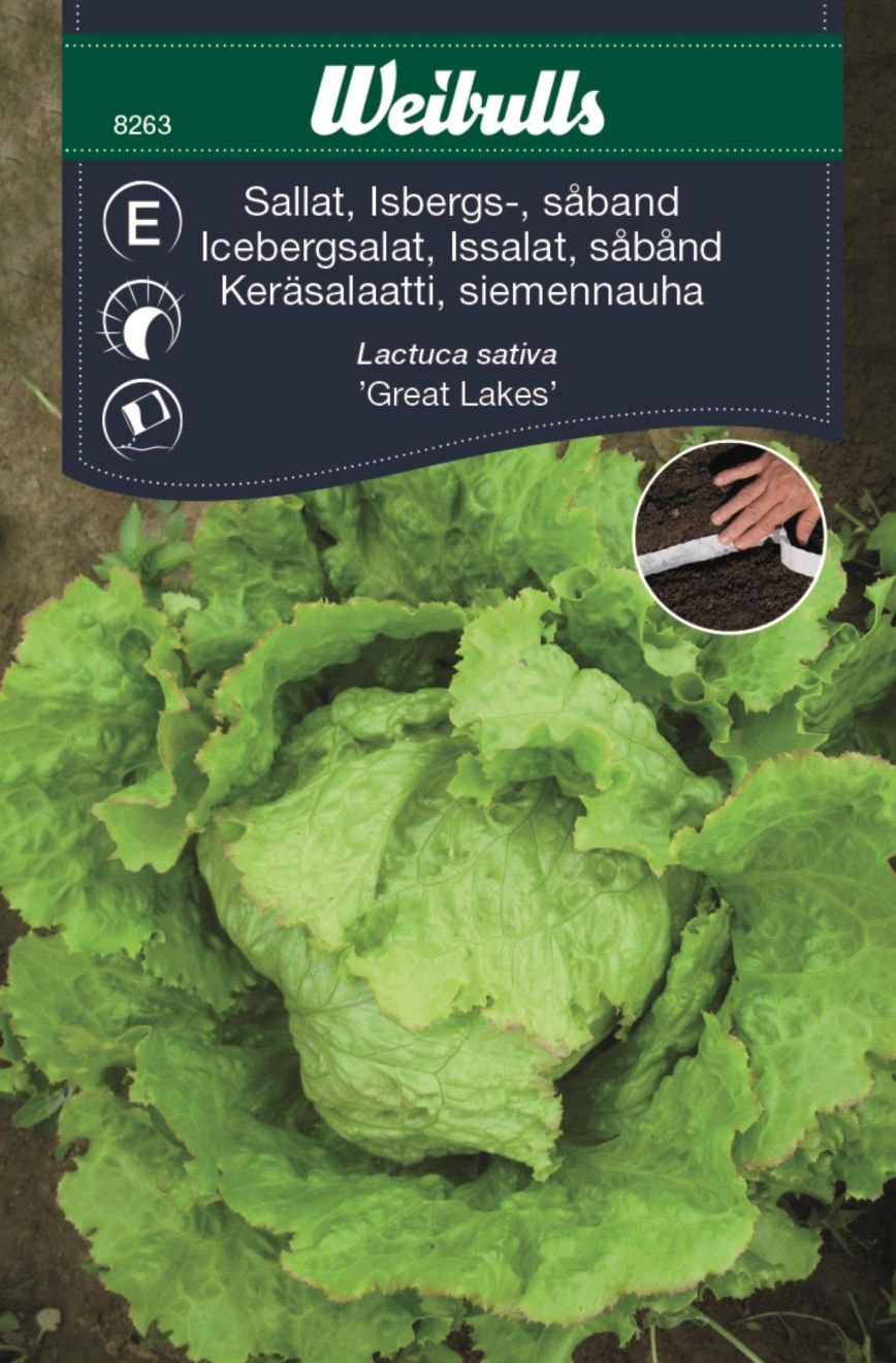 Weibulls Sallat, isbergs såband