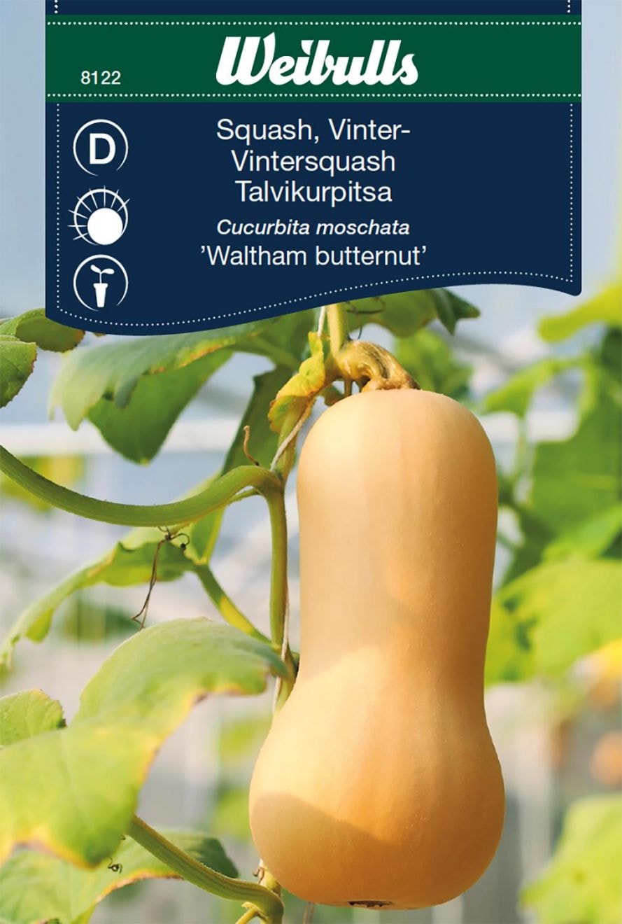 Weibulls Squash, vinter Frö
