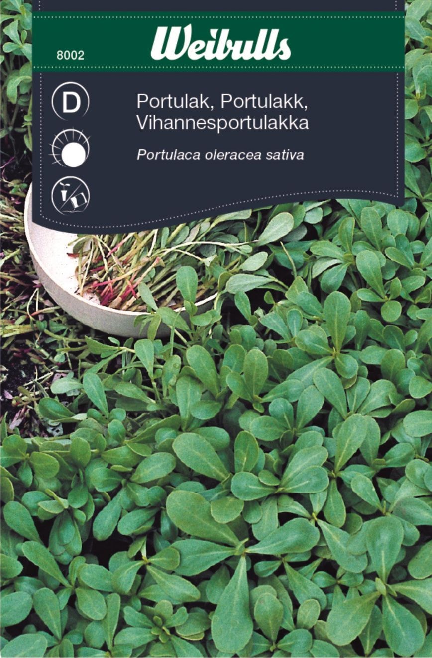 Weibulls Vihannesportulakka