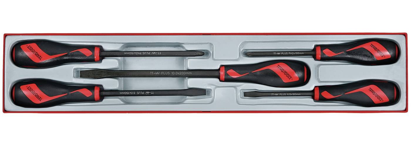 Teng Tools Skruetrækkersæt med 5 dele TTXMDTN