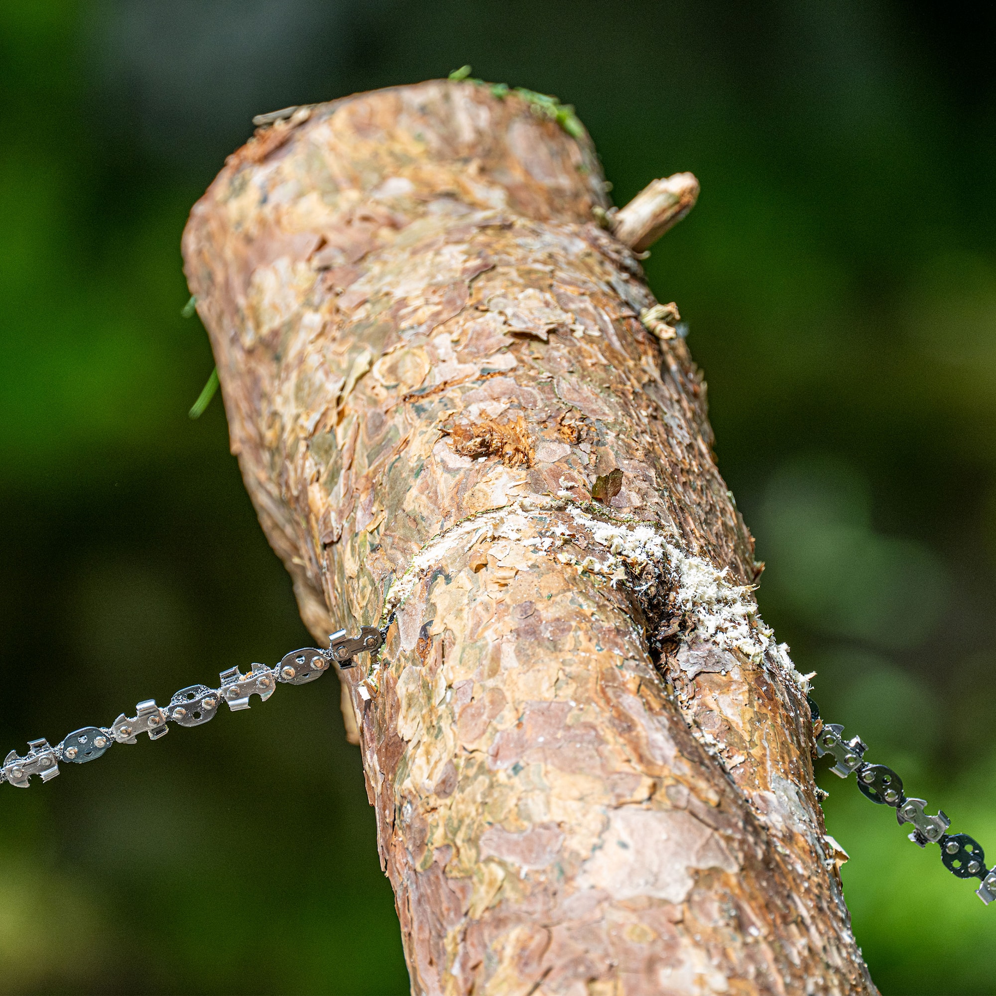 Nordic-Pocket-Saw-Lineworker-8.jpg