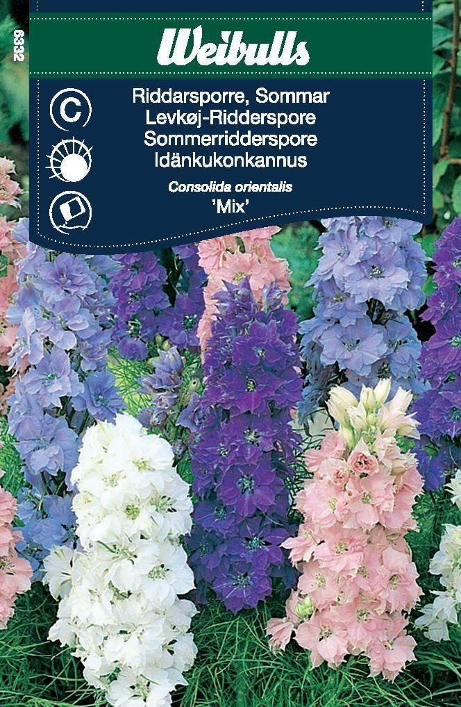 Weibulls Riddarsporre, sommar mix